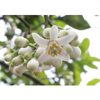 http://www.pangchuo.cn/images/companyimg/615.png